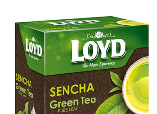 Herbata Loyd - dlaczego warto pić ją regularnie?