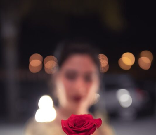 Wieczna róża